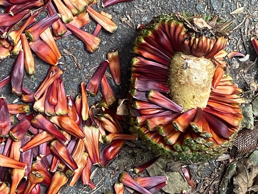 Tours June 2024 - 50 - 7