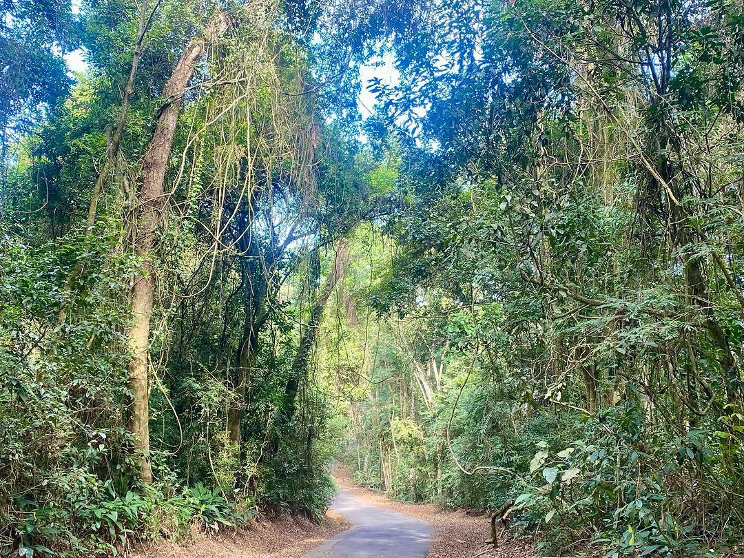 Tours June 2024 - 52 - 8