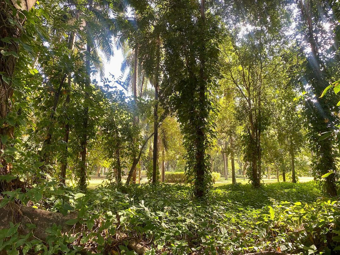 Tours June 2024 - 8 - 2