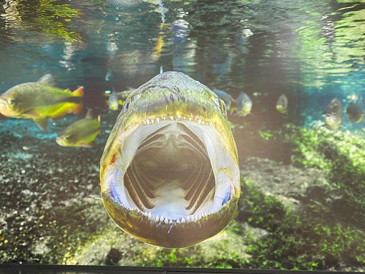 Tours July 2024 - 16 - 1