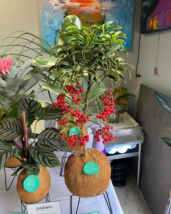 Tours July 2024 - 19 - 2