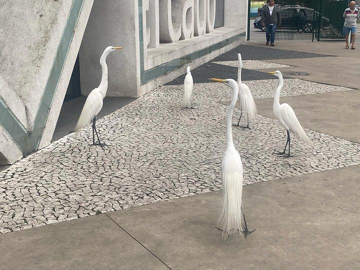 Tours August 2024 - 20 - 2