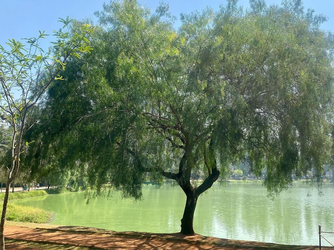 Tours September 2024 - 35 - 5