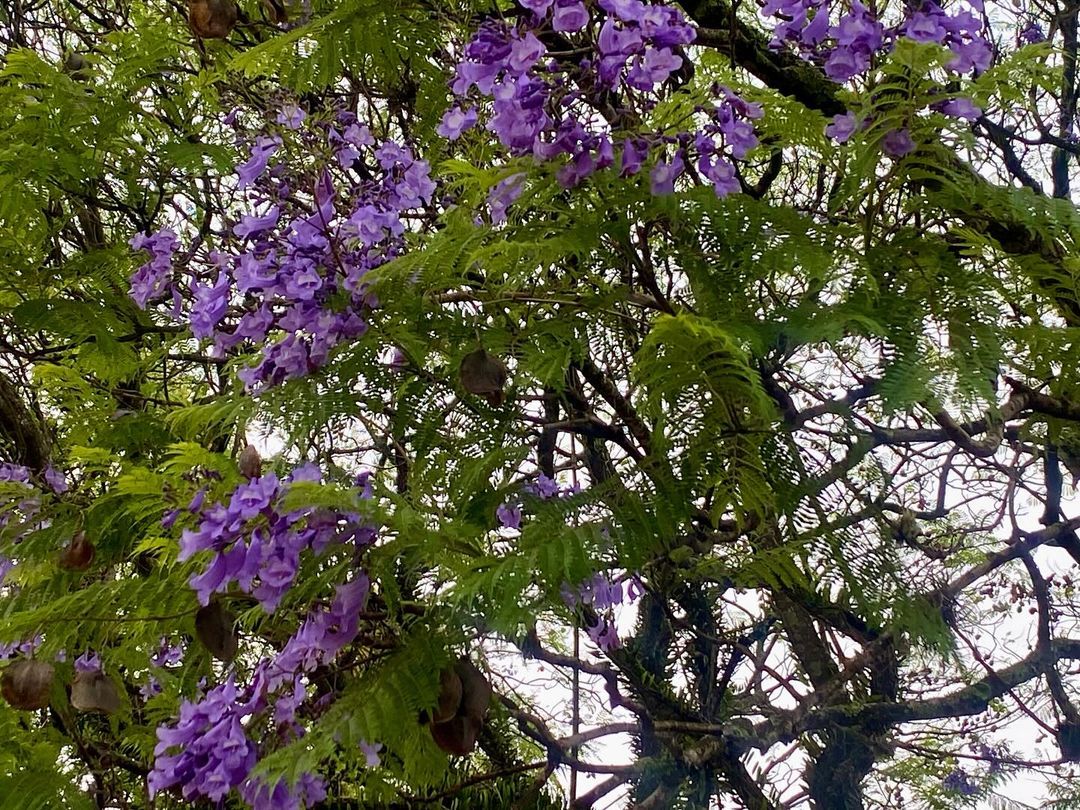 Tours October 2024 - 35 - 2