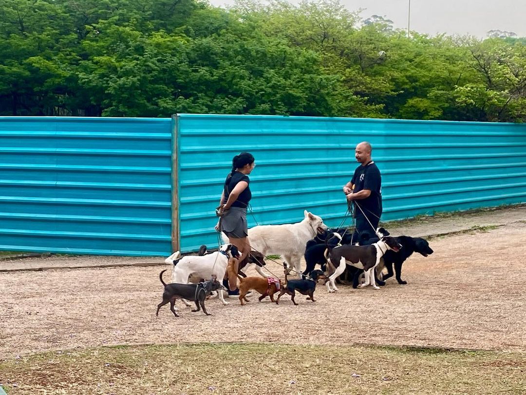 Tours October 2024 - 37 - 3