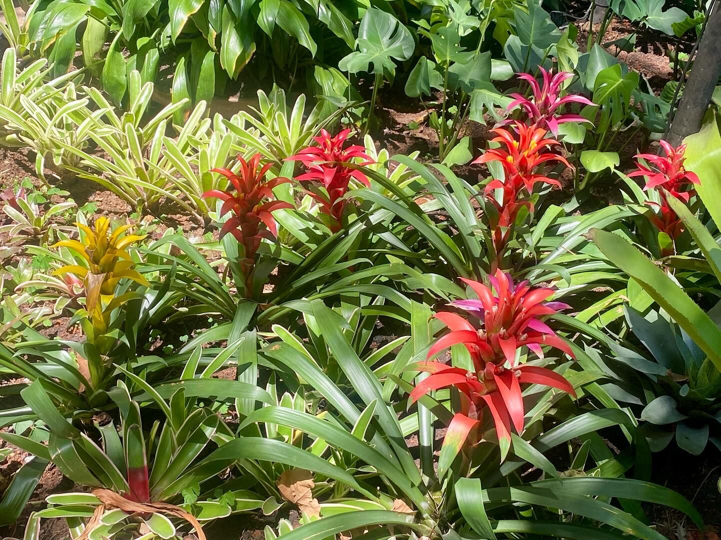 Tours October 2024 - 5 - 3