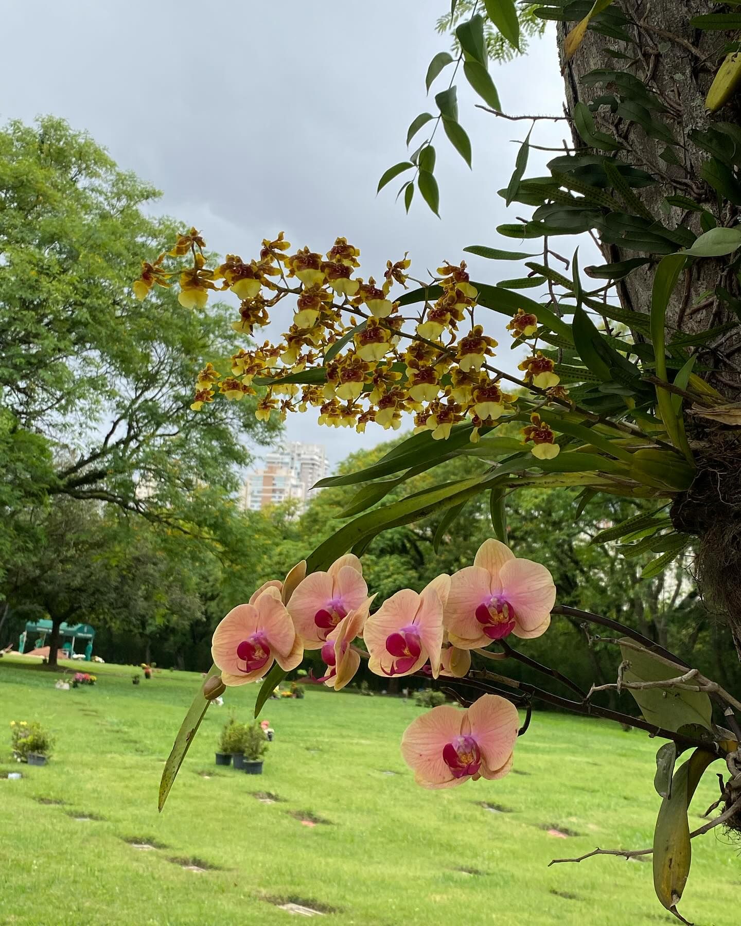 Tours October 2024 - 7 - 5