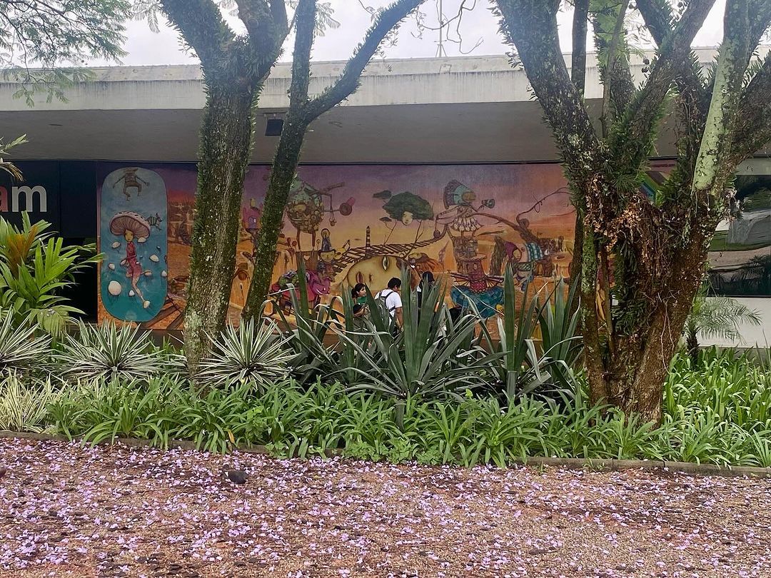 Tours November 2024 - 29 - 2