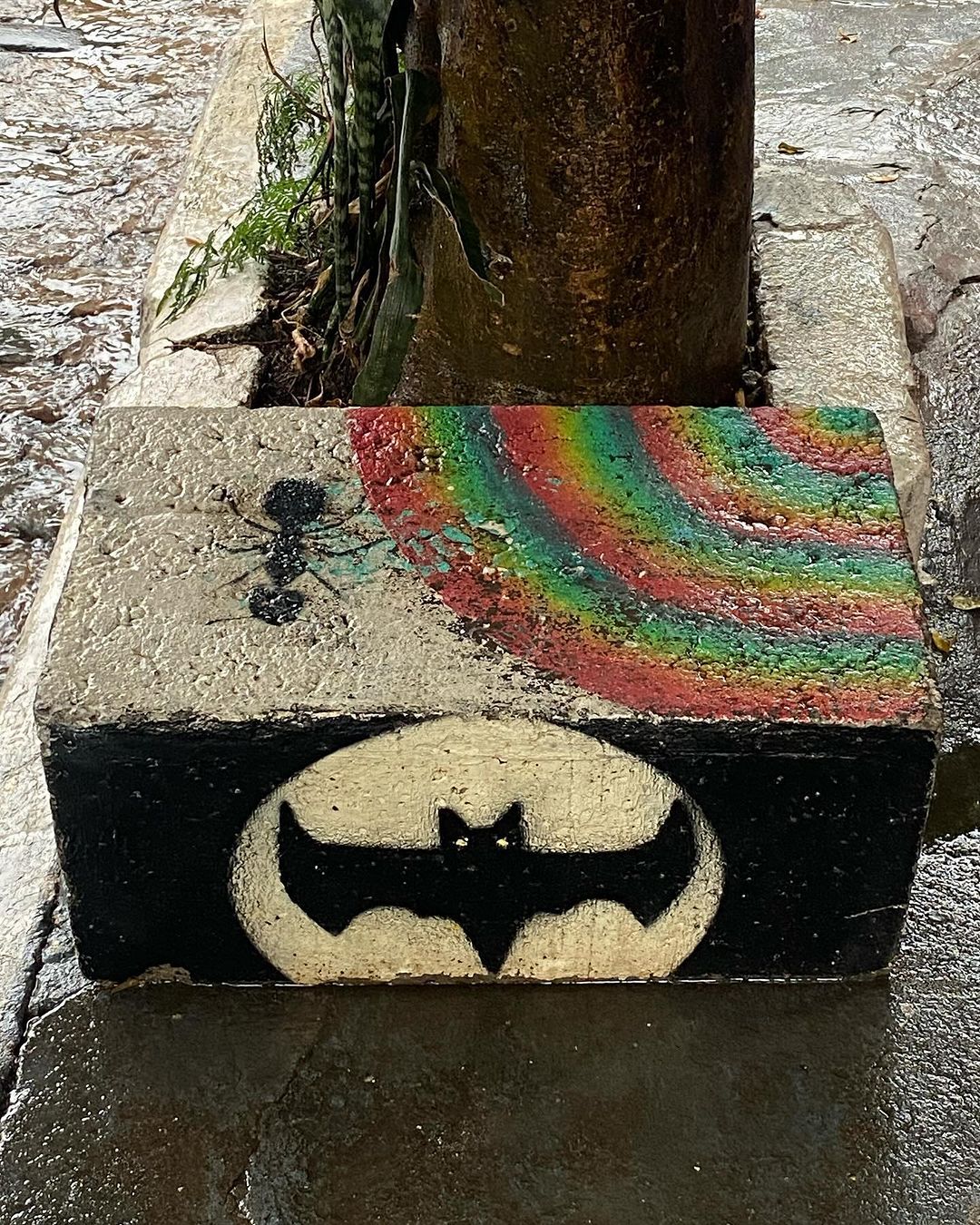 Tours November 2024 - 31 - 3