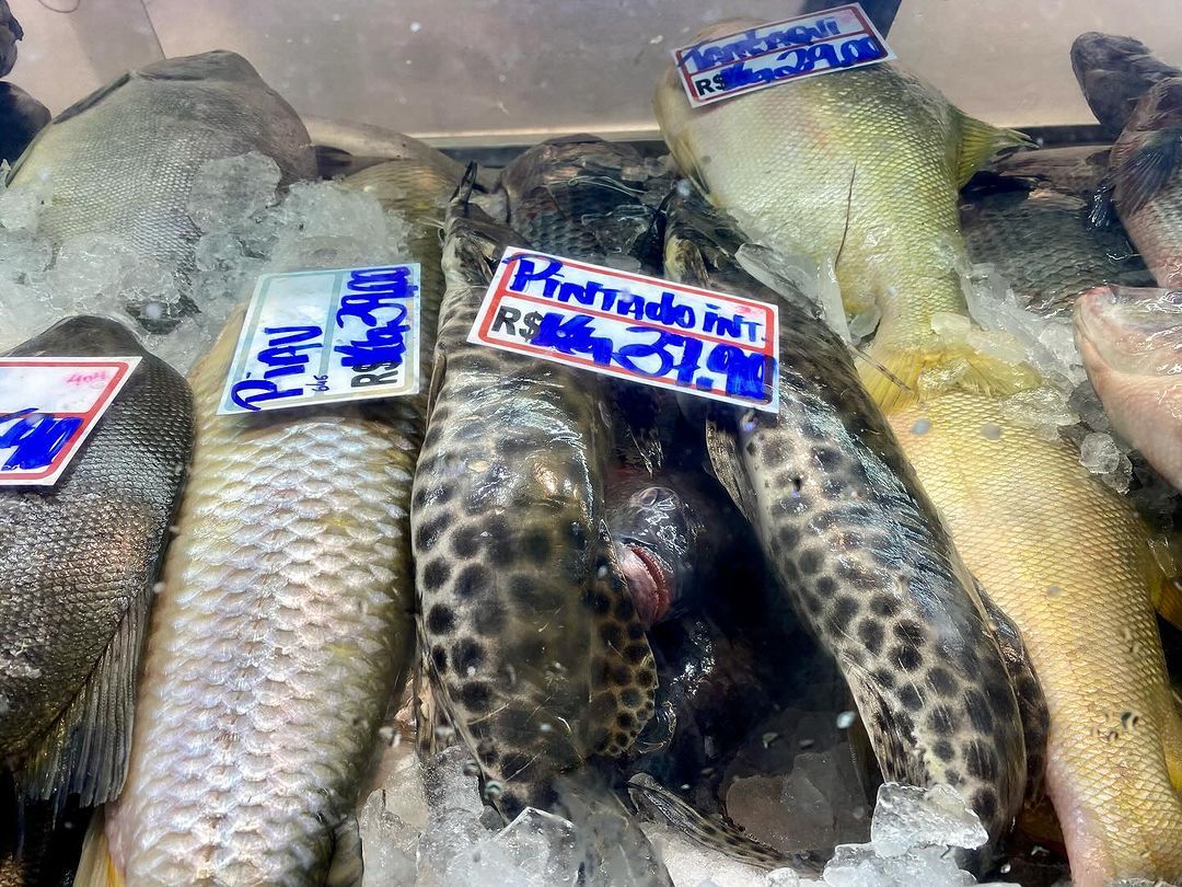 Tours November 2024 - 33 - 3