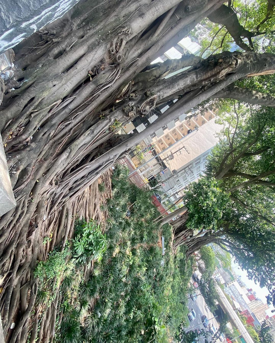 Tours November 2024 - 8 - 1