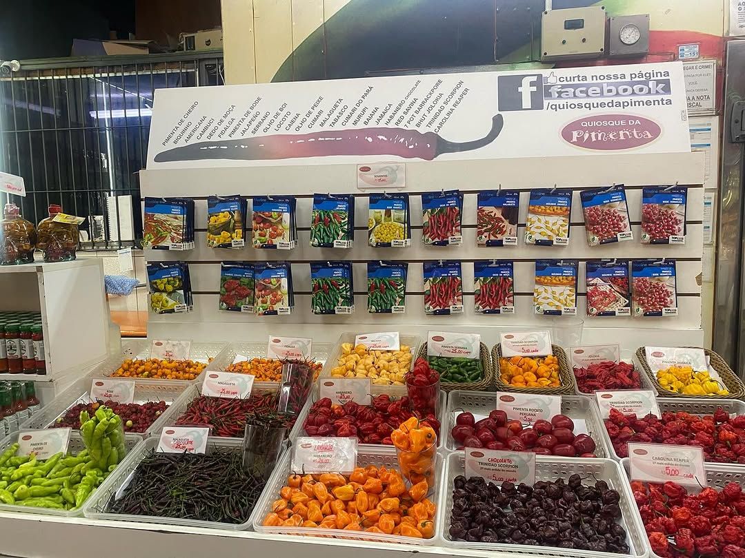 Tours November 2024 - 11 - 1