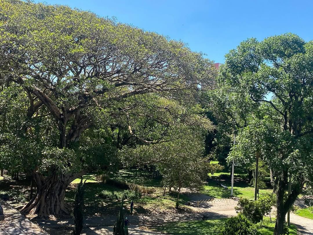 Tours November 2024 - 15 - 5