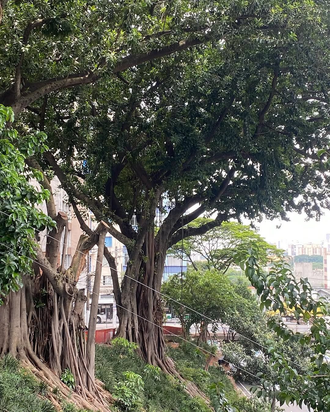 Tours December 2024 - 44 - 3