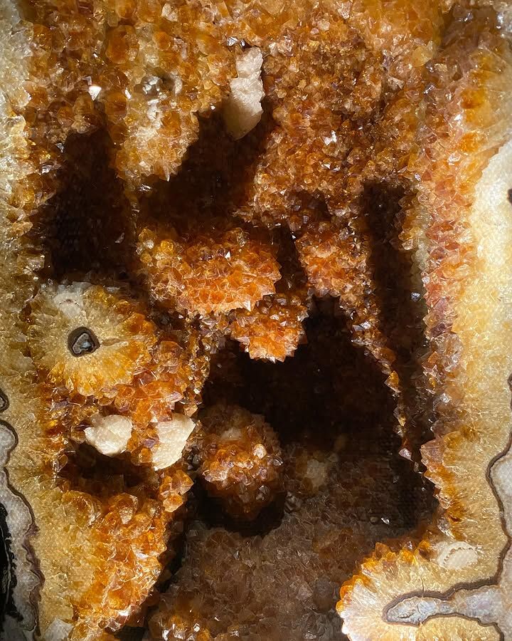 Tours December 2024 - 4 - 3