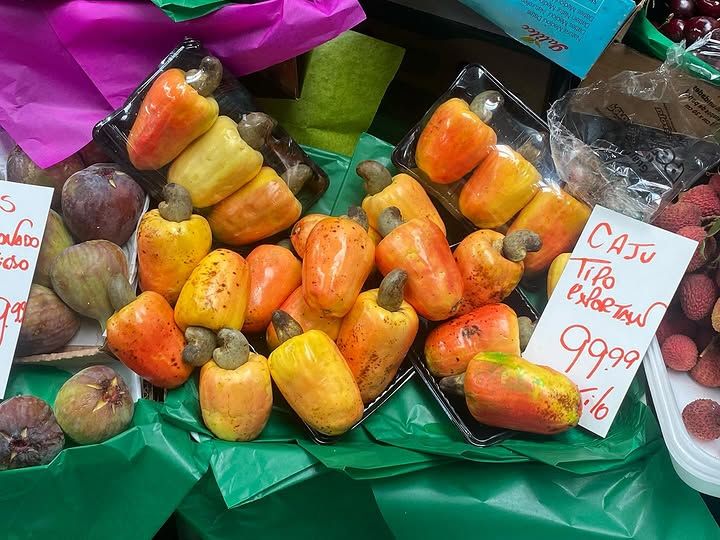 Tours December 2024 - 12 - 2