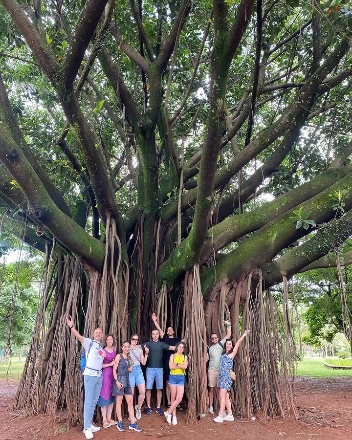 Tours December 2024 - 15 - 0