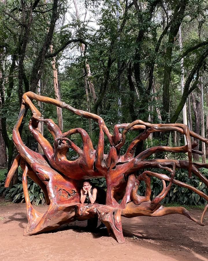 Tours December 2024 - 15 - 2