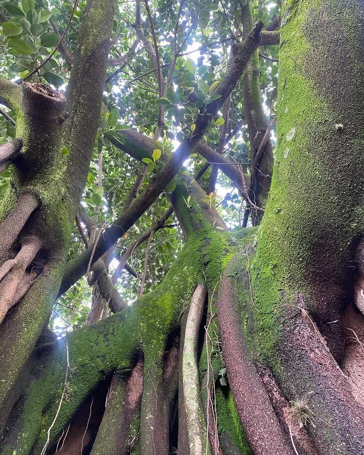 Tours January 2025 - 19 - 1