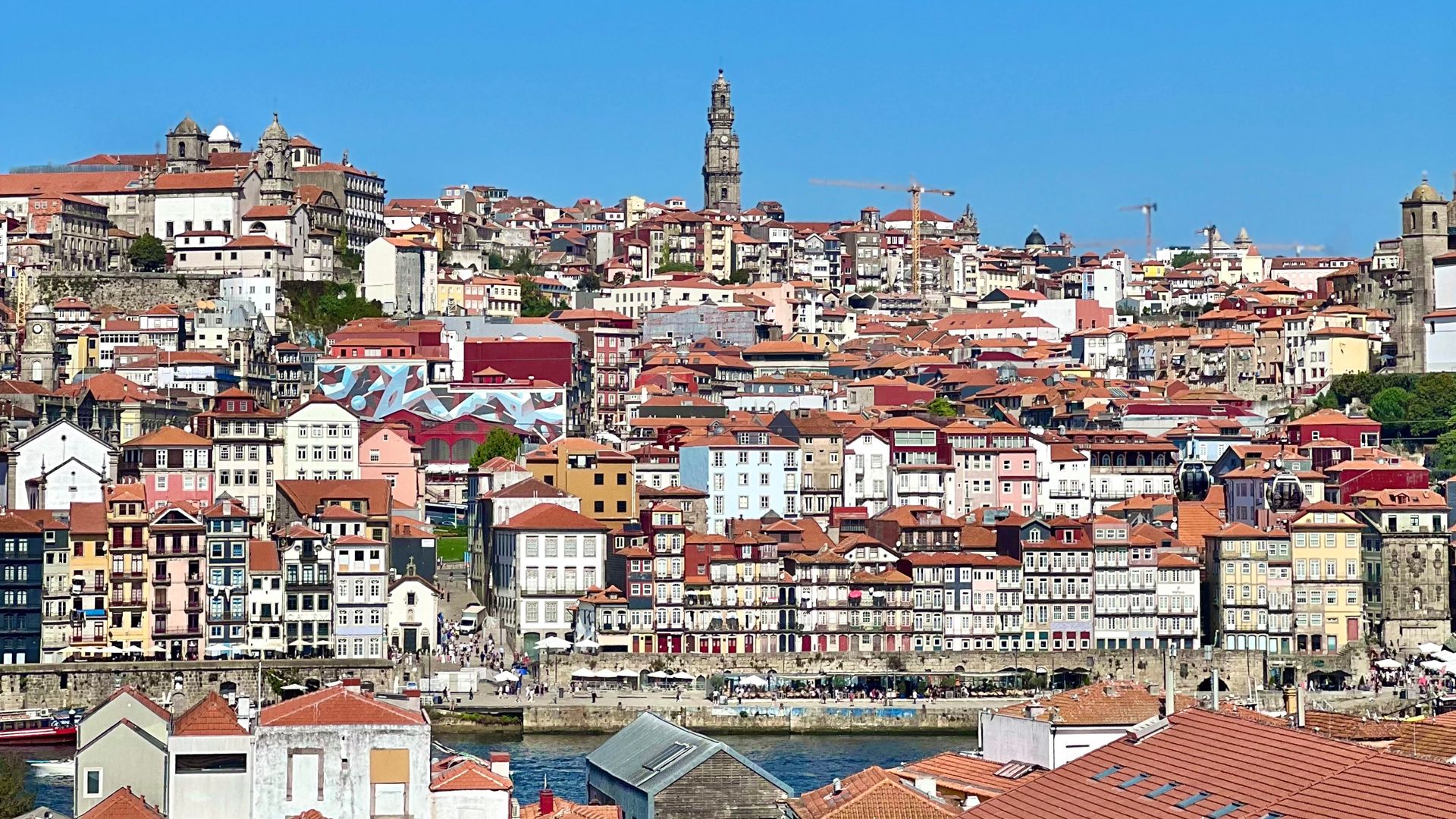 O Melhor do Porto. em um dia num passeio completo! - 1