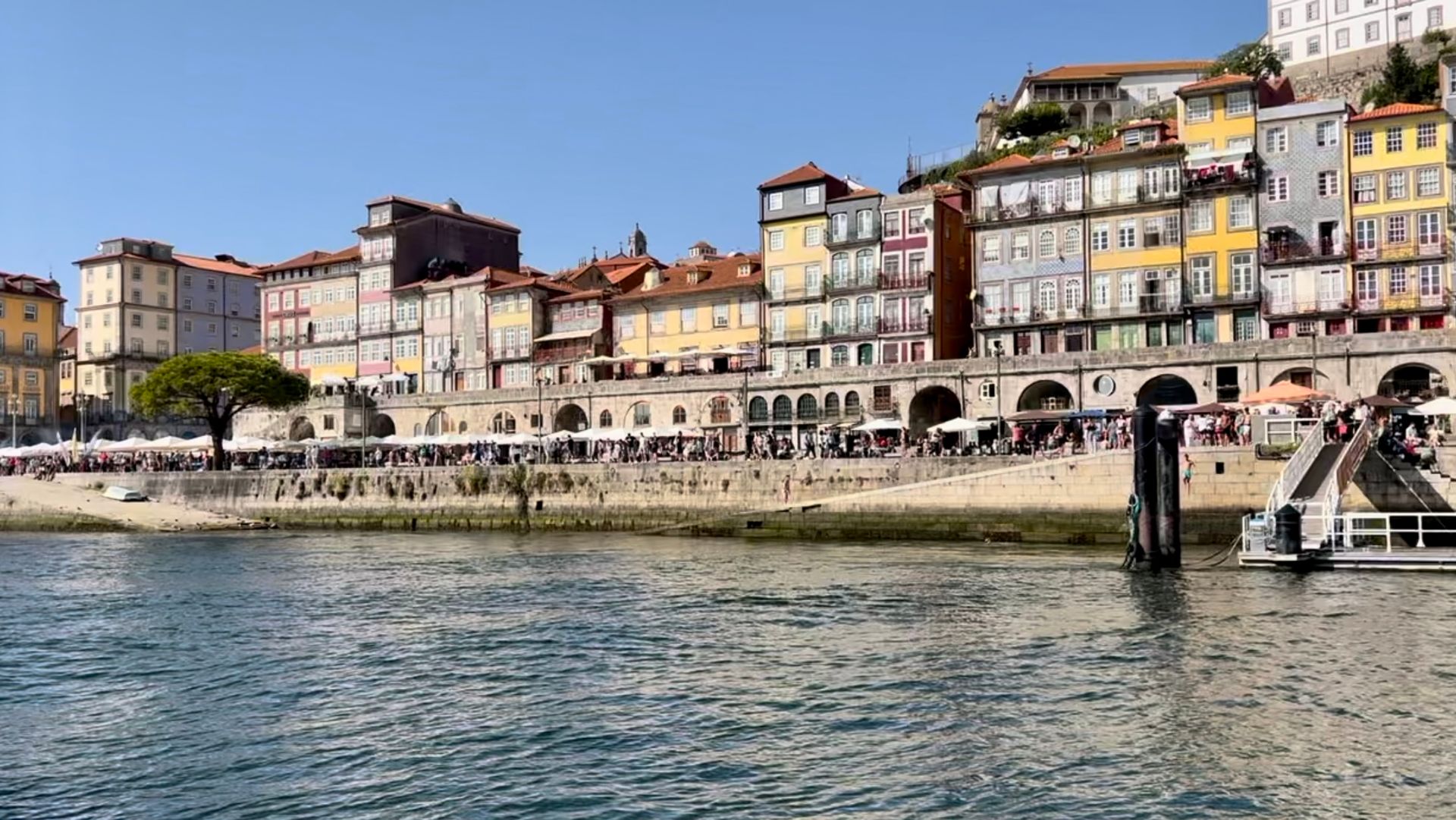 O Melhor do Porto. em um dia num passeio completo! - 15 - 1