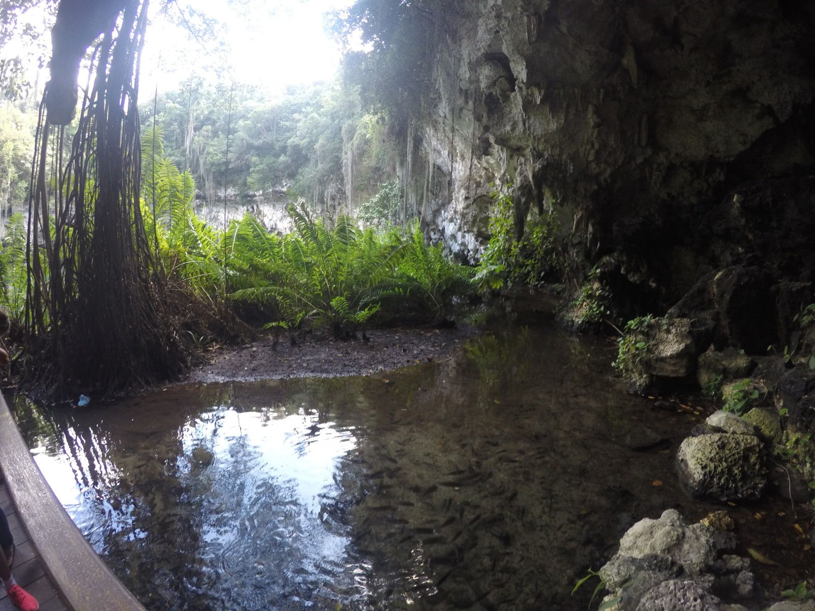Lua de Mel na República Dominicana: um dos destinos preferidos! - 30 - 0