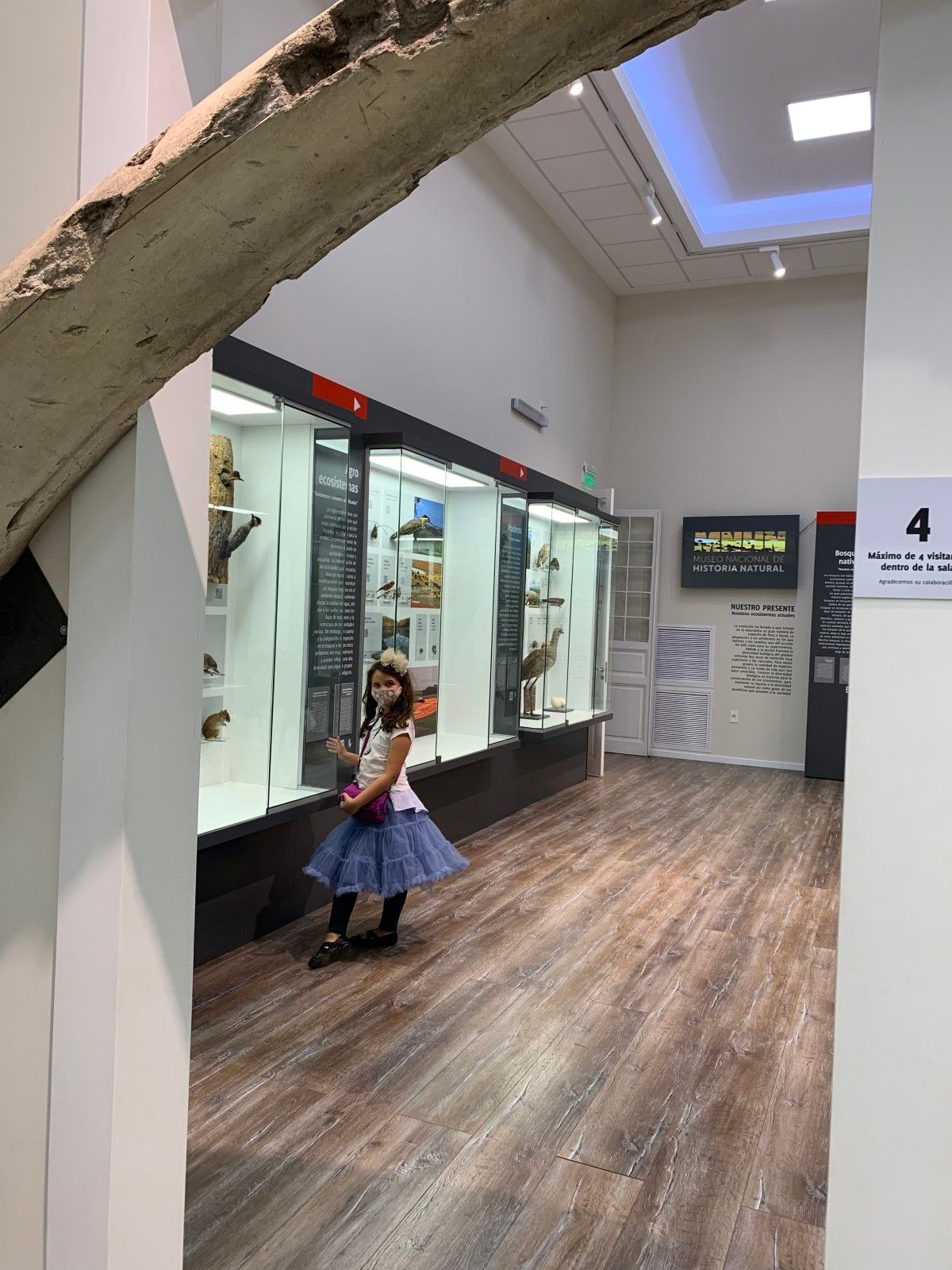 Bairro dos Judeus em Montevidéu: compras baratas e muito mais. - 42 - 0