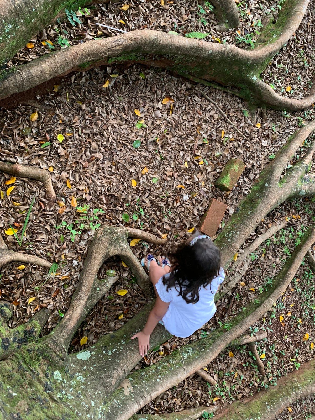 O que fazer em Araxá - 40 - 1