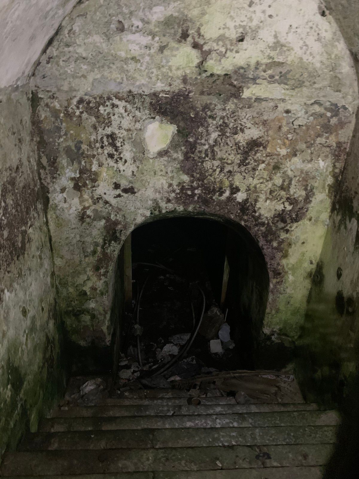 O que fazer em Montevidéu: 5 passeios noturnos para fugir do obvio! - 54 - 0