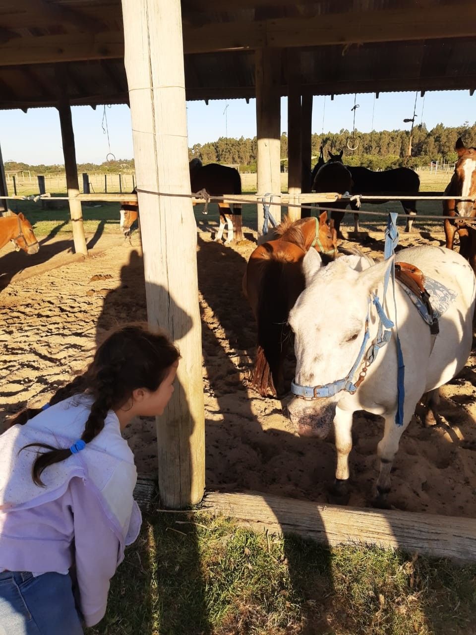 Fazenda Lapataia em Punta Del Este: conhecendo o Uruguay com crianças - 45 - 0