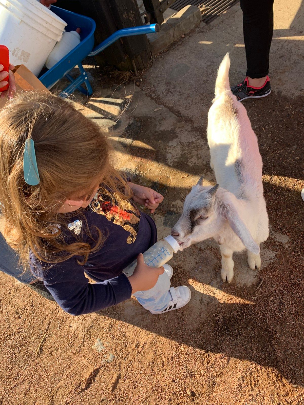 Fazenda Lapataia em Punta Del Este: conhecendo o Uruguay com crianças - 34 - 0