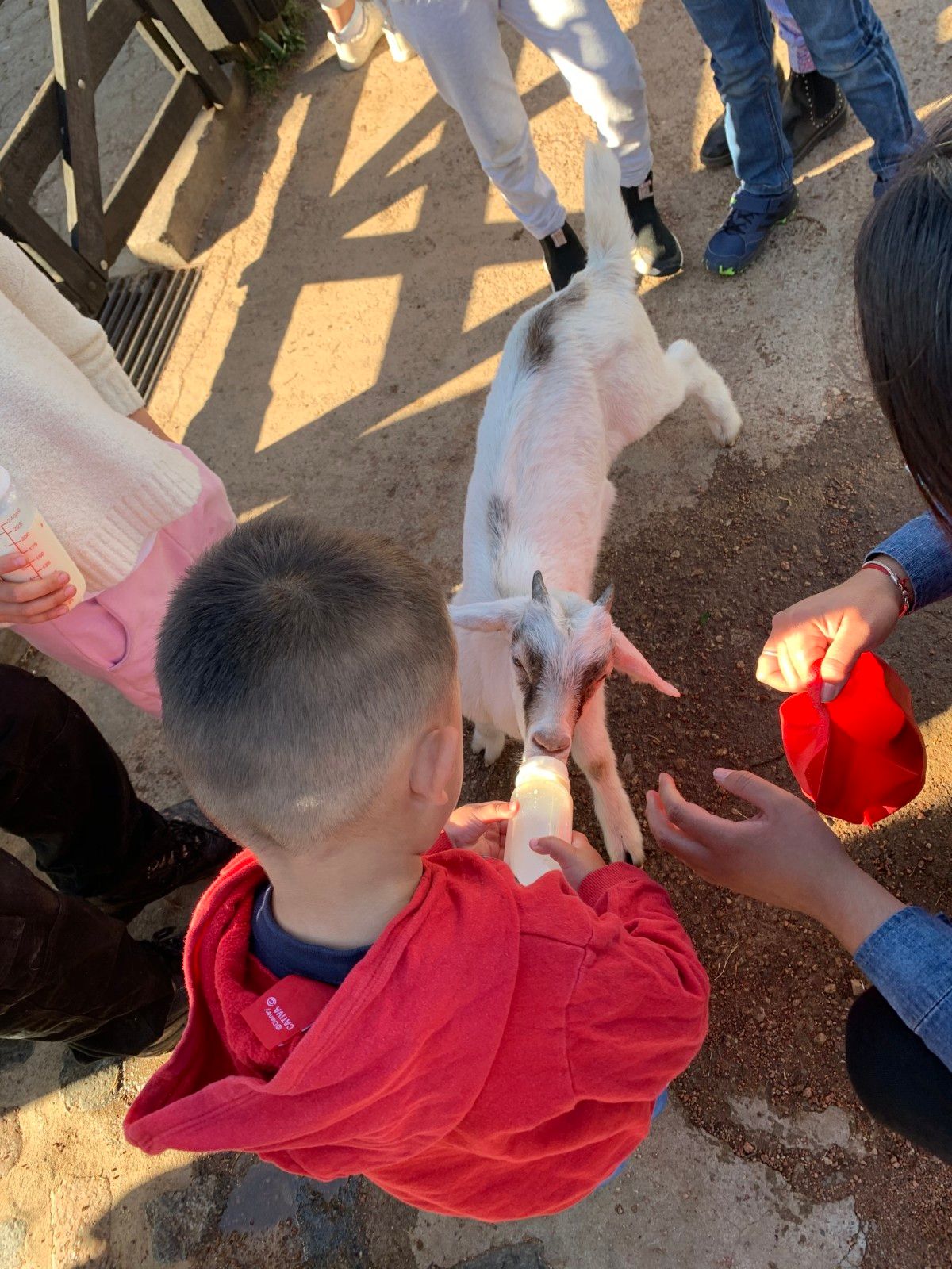 Fazenda Lapataia em Punta Del Este: conhecendo o Uruguay com crianças - 34 - 1
