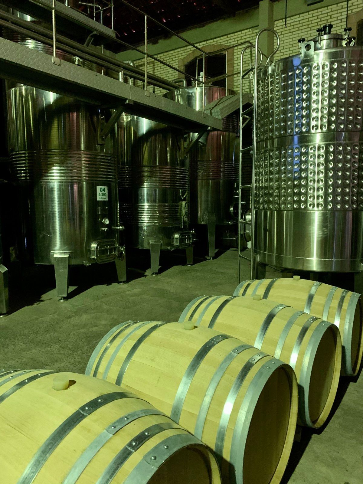 Provando delícias na rota Ferradura dos Vinhedos em Santana do Livramento - 28 - 0