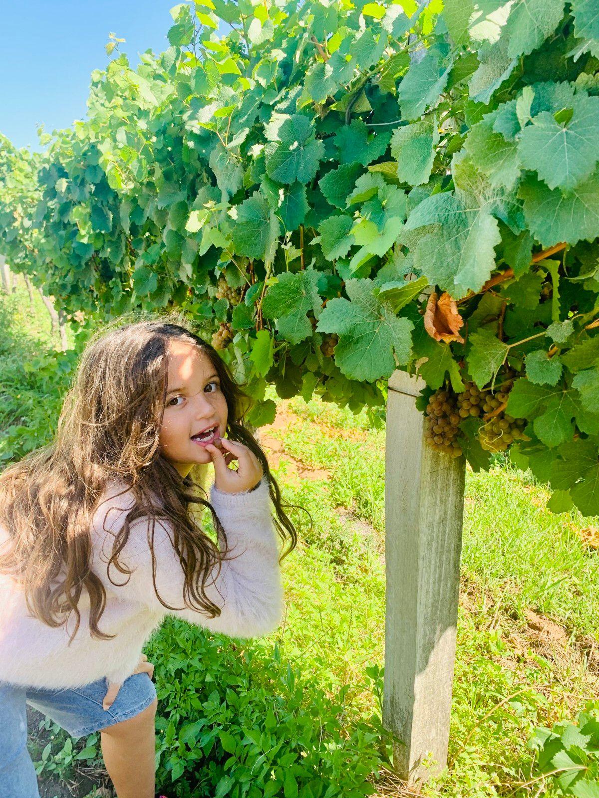 Provando delícias na rota Ferradura dos Vinhedos em Santana do Livramento - 30 - 1