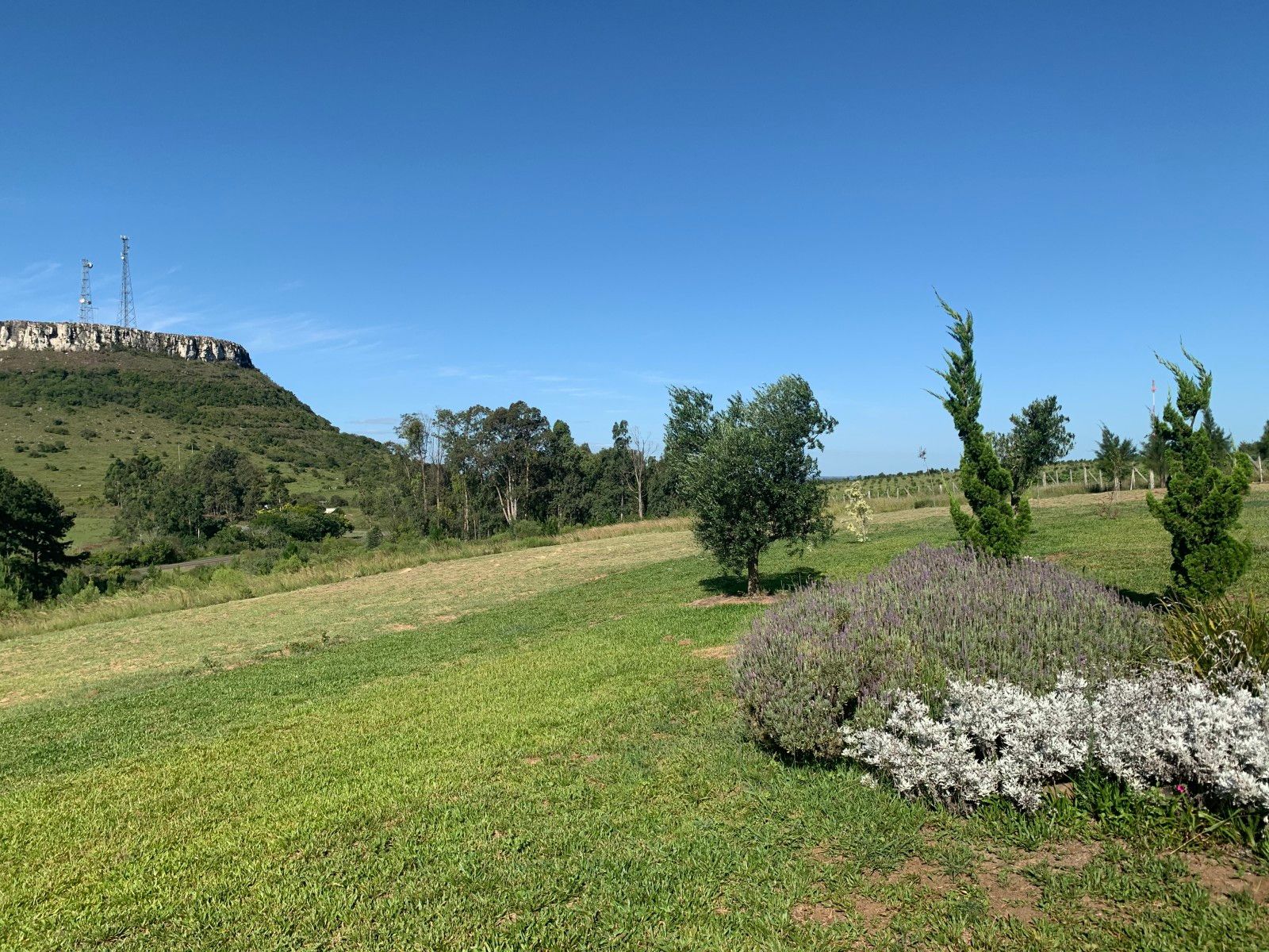 Provando delícias na rota Ferradura dos Vinhedos em Santana do Livramento - 39 - 1