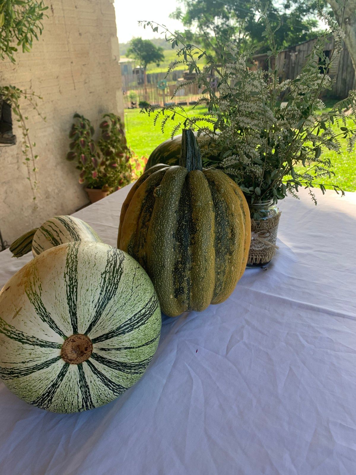 Provando delícias na rota Ferradura dos Vinhedos em Santana do Livramento - 53 - 2