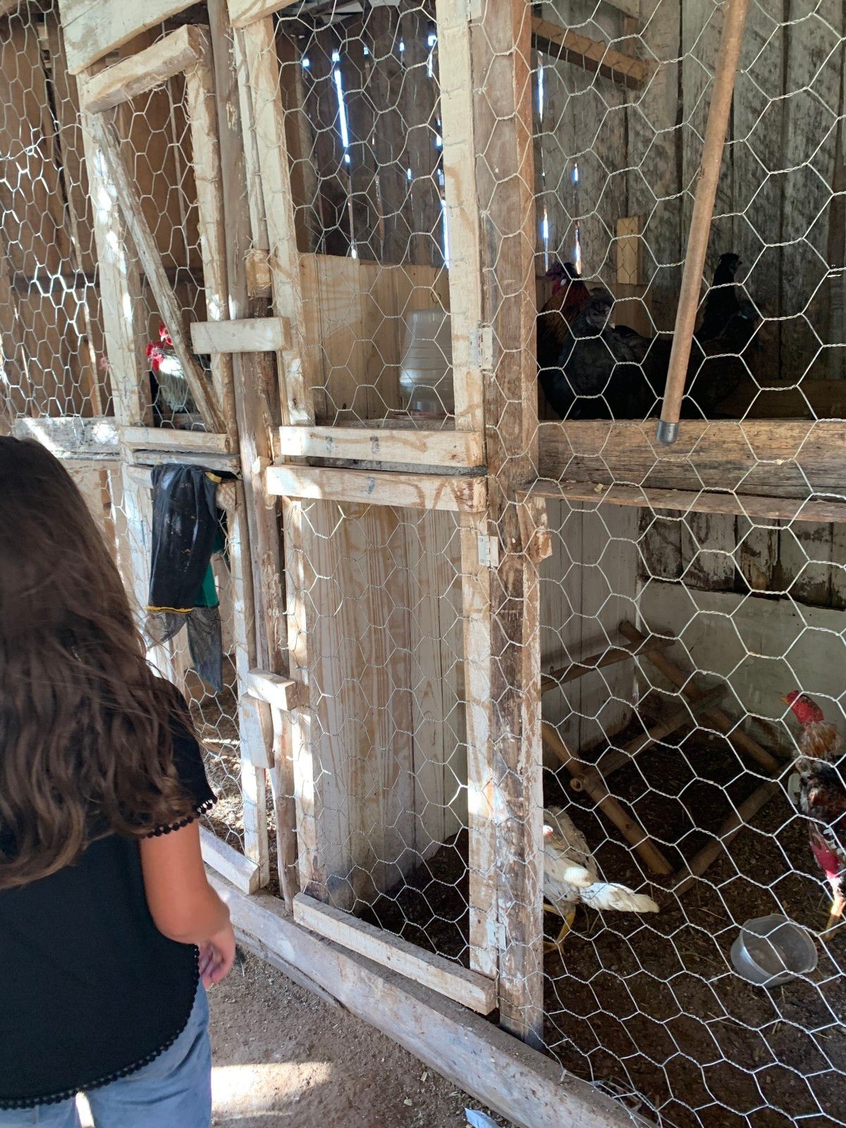 Provando delícias na rota Ferradura dos Vinhedos em Santana do Livramento - 57 - 0