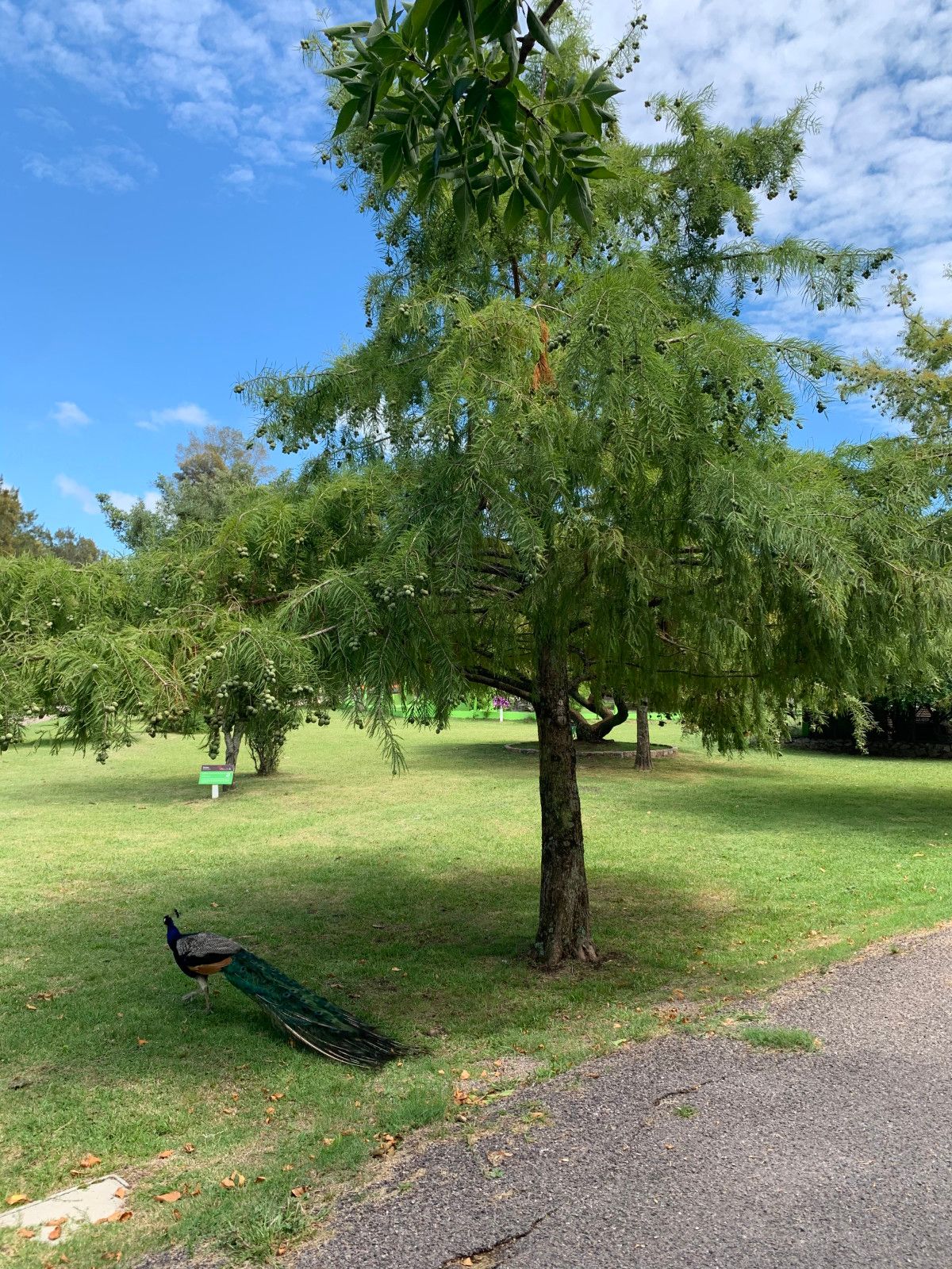 Bate e volta de Montevidéu: Ecoparque Talice - 21 - 1