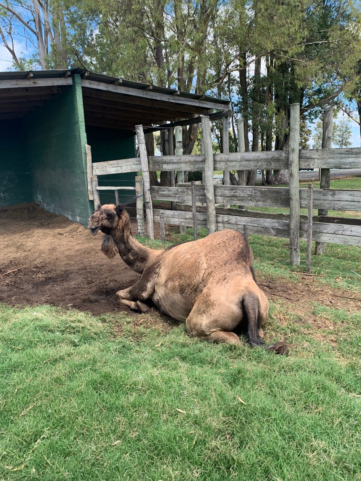 Bate e volta de Montevidéu: Ecoparque Talice - 21 - 2