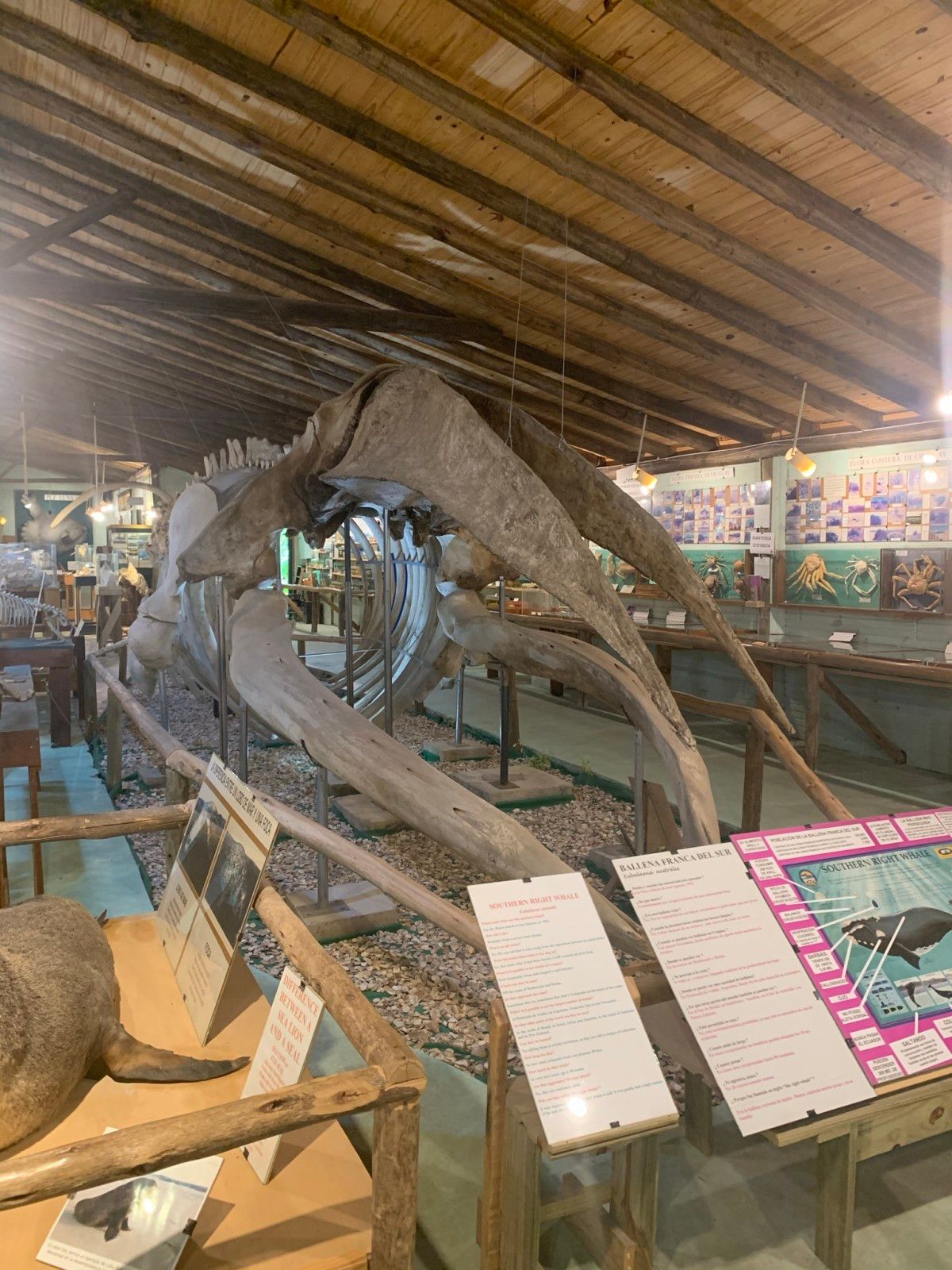 Museo del Mar em Punta del Este - 18 - 0