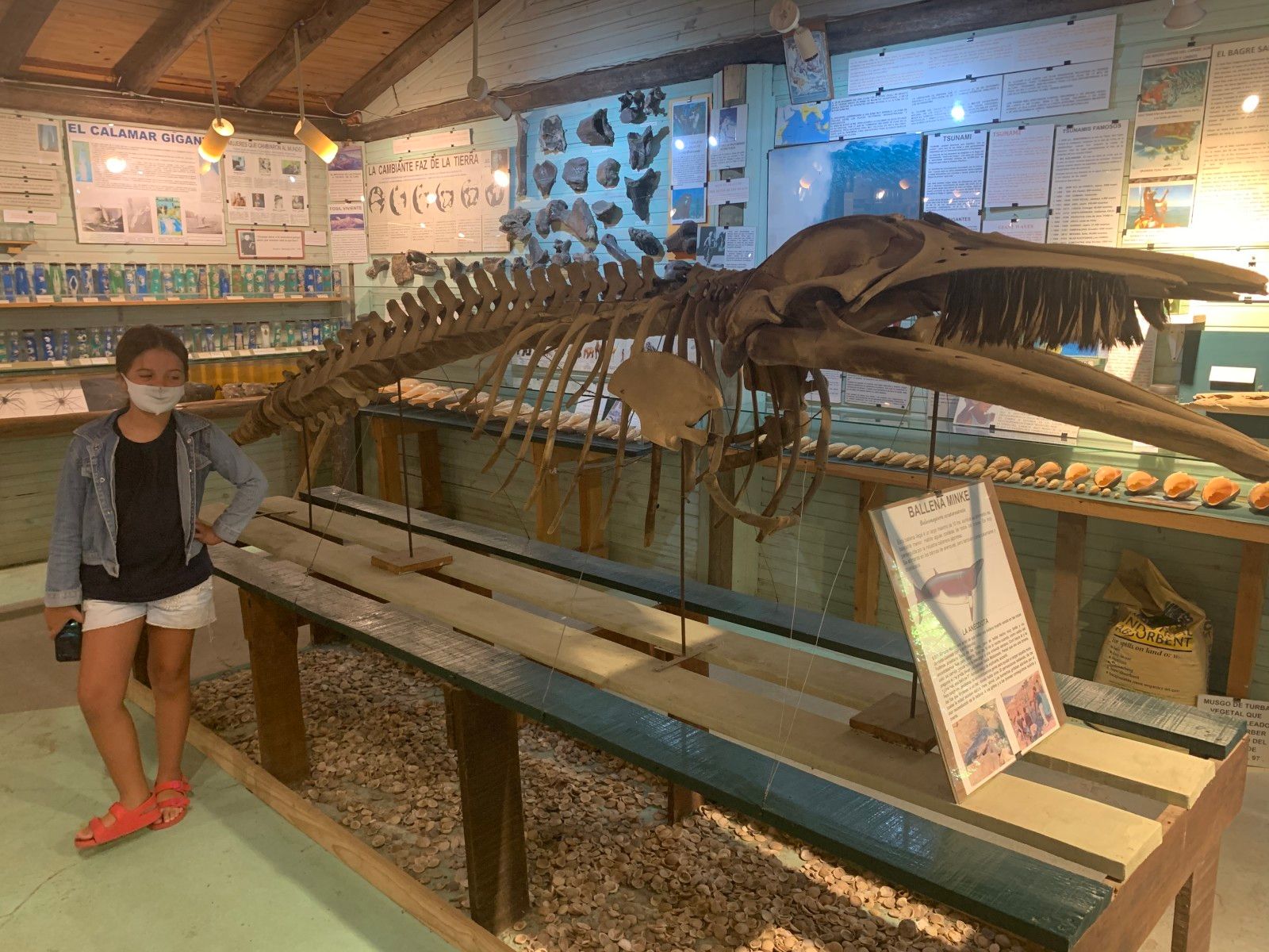 Museo del Mar em Punta del Este - 18 - 2