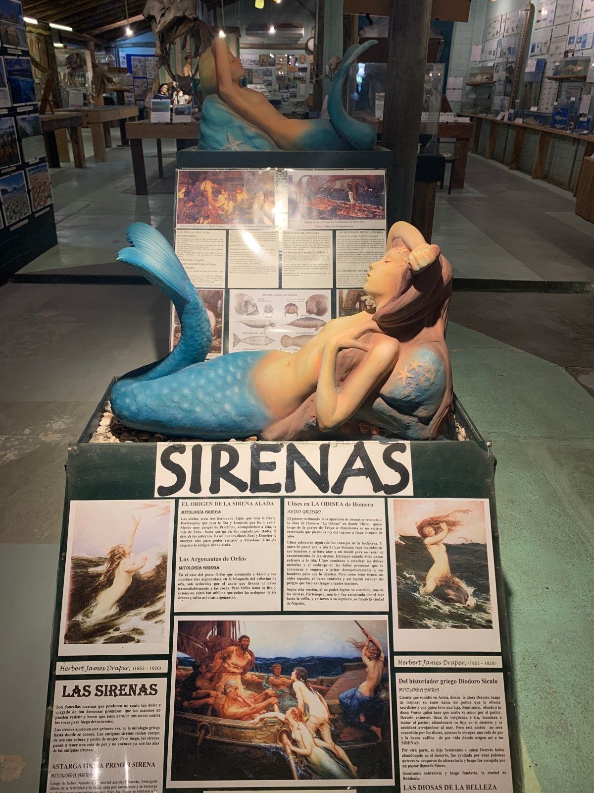 Museo del Mar em Punta del Este - 21 - 1