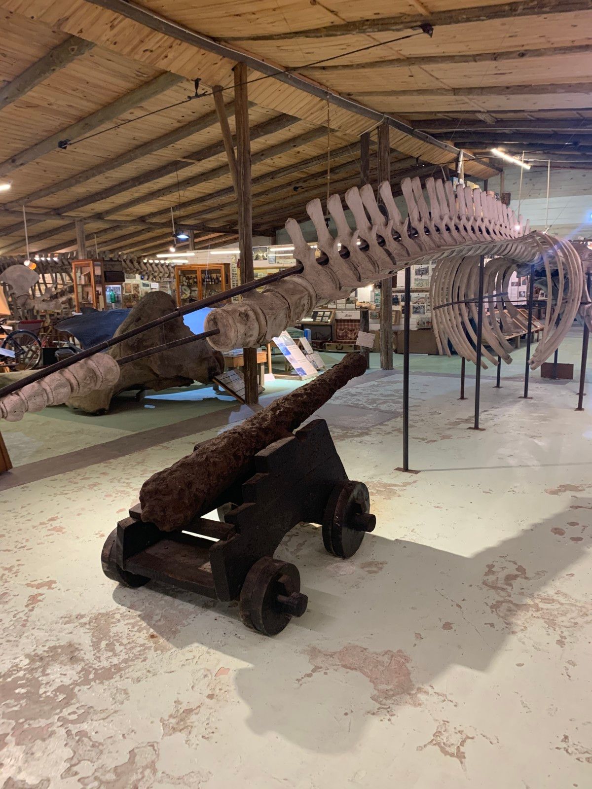 Museo del Mar em Punta del Este - 21 - 6