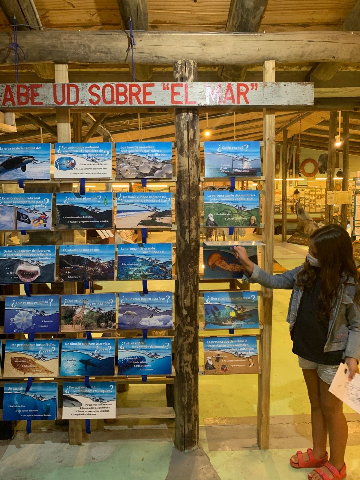 Museo del Mar em Punta del Este - 27 - 0