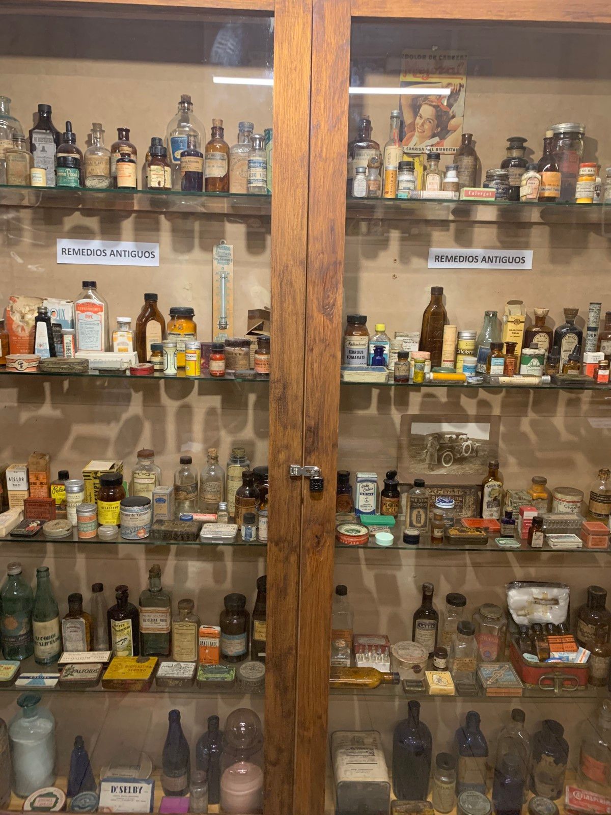 Museo del Mar em Punta del Este - 34 - 4