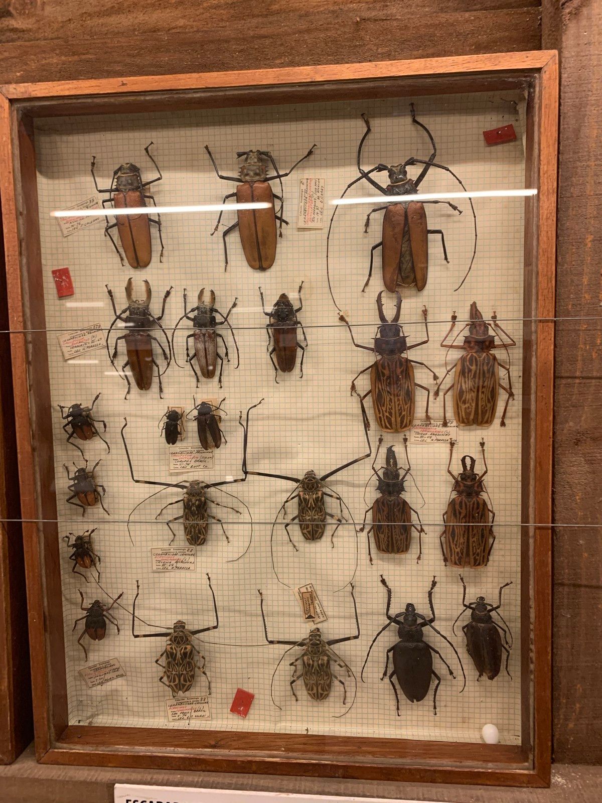 Museo del Mar em Punta del Este - 46 - 1