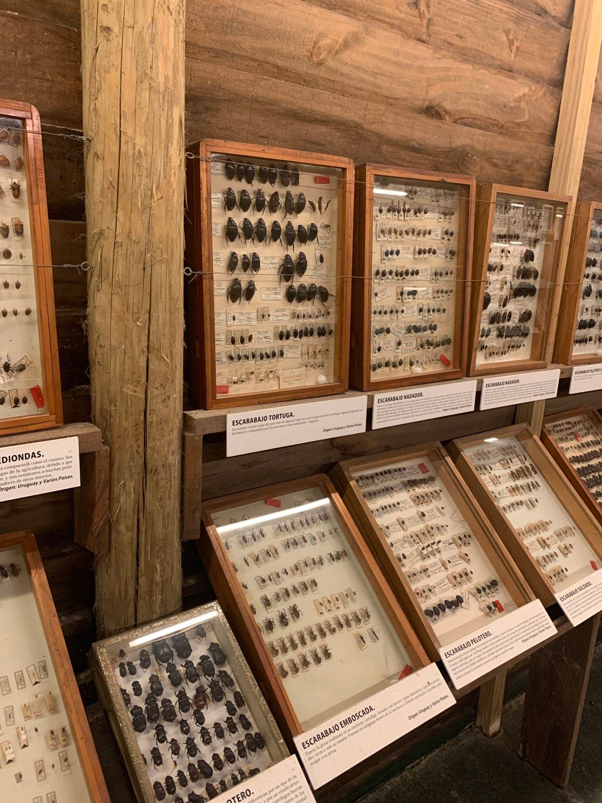 Museo del Mar em Punta del Este - 46 - 2