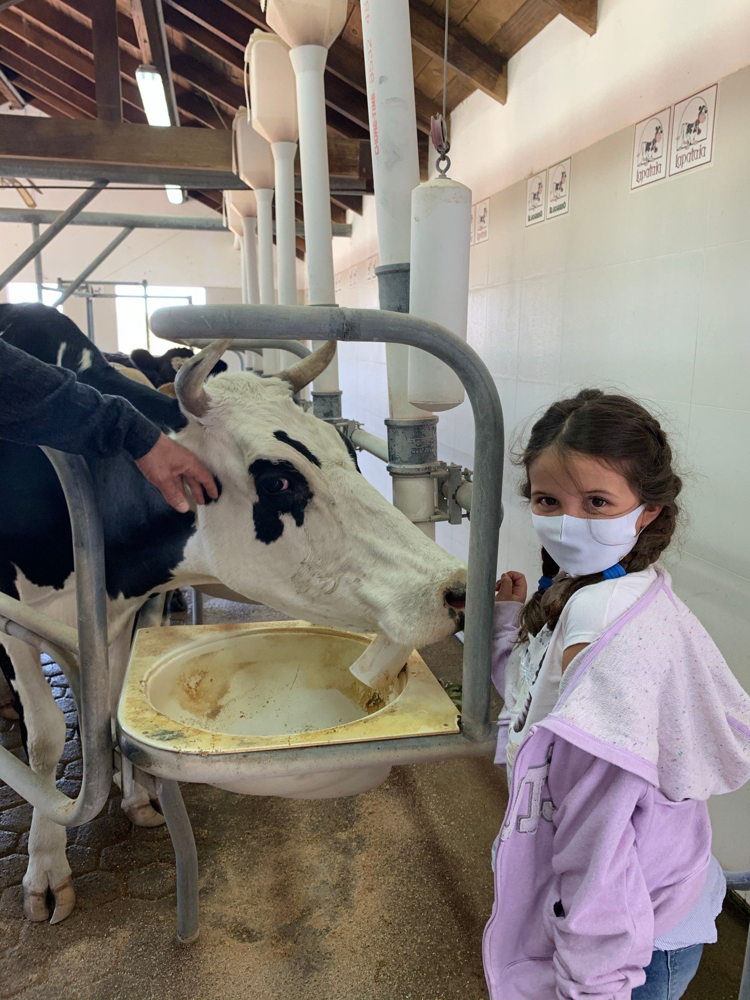 O que fazer em Punta del Este com crianças - 21 - 1