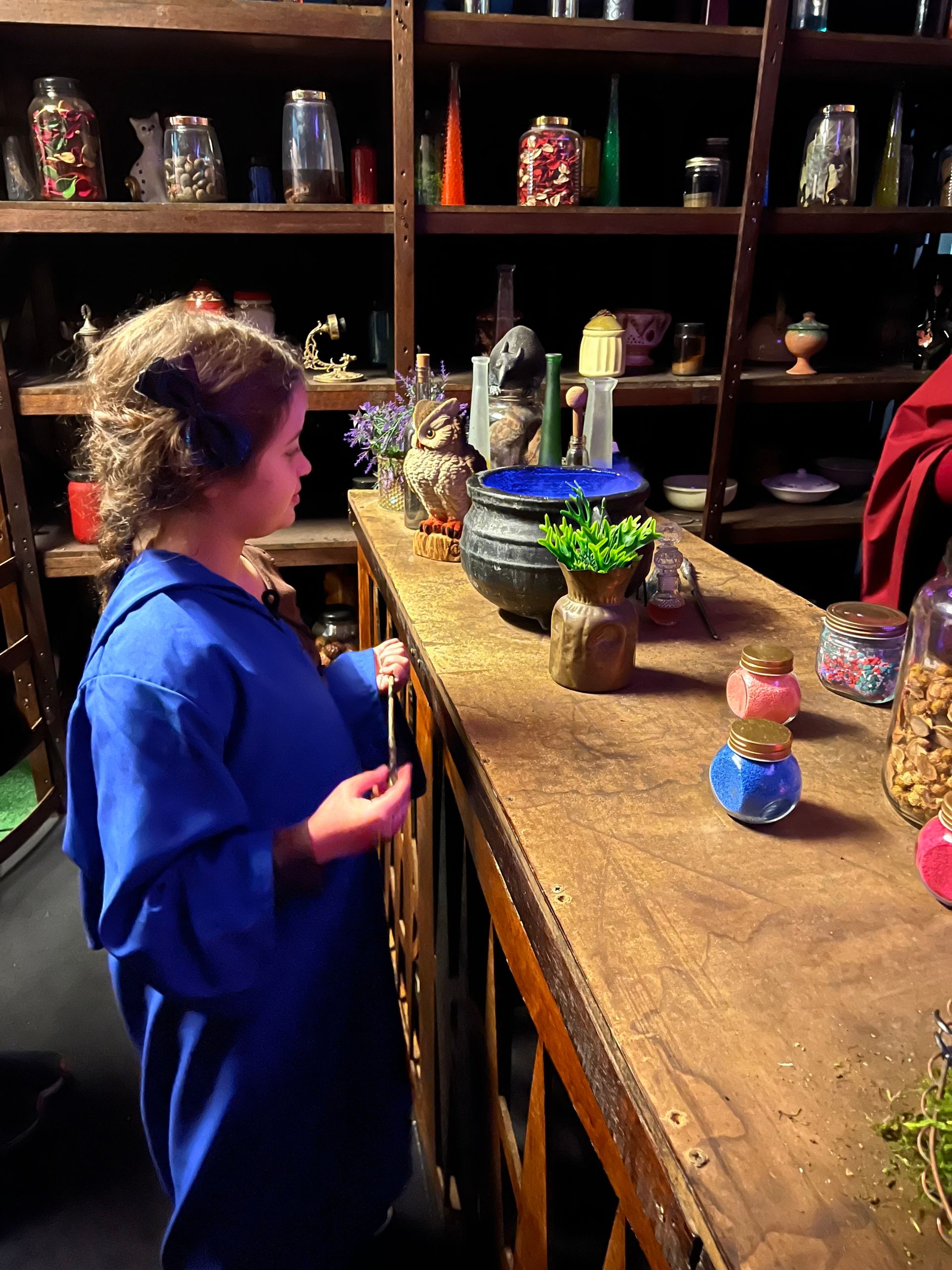 Escola de Magia em Gramado: como é a visita - 24