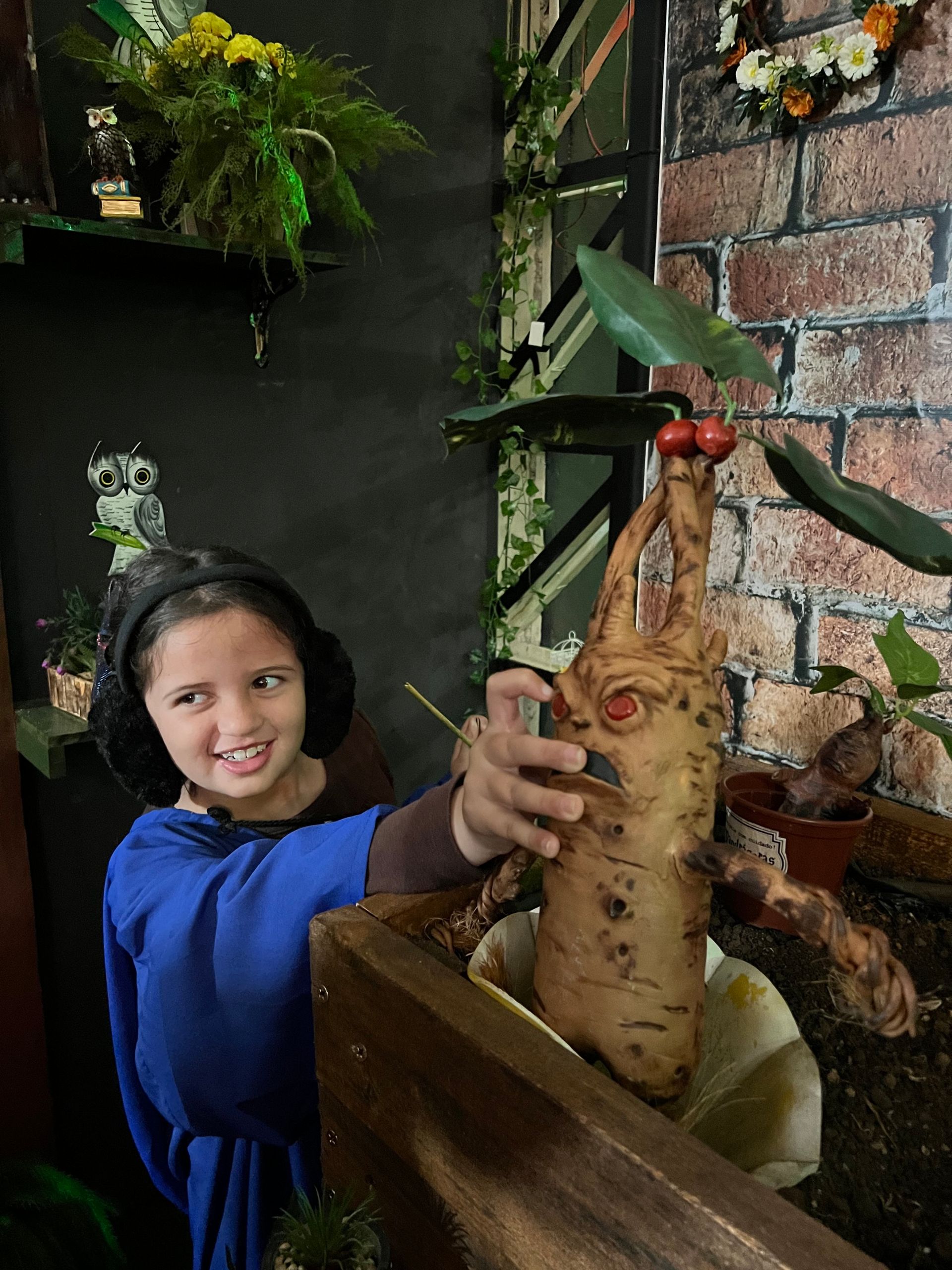 Escola de Magia em Gramado: como é a visita - 33